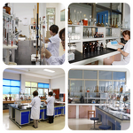 Undecylenic Acid Supplier - Lower Price CAS 112-38-9 China