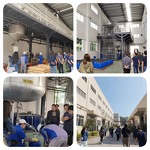 Sodium Aluminum Phosphate Supplier - SALP CAS 7785-88-8