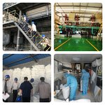 4-((2-Hydroxyethyl)amino)-3-nitrophenol Supplier - Best