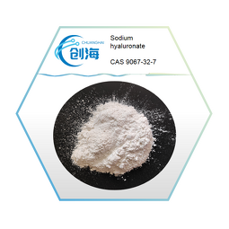 Sodium Hyaluronate Supplier - Cosmetic Grade 99% CAS 9067-32-7 Factory Supply