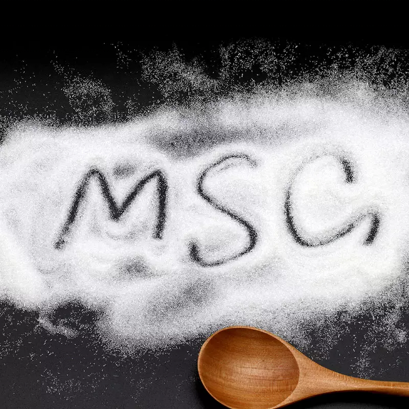 Monosodium Glutamate Supplier - MSG Salt Food Additive