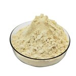 Isolated Soy Protein Supplier - ISP 90% for Meat