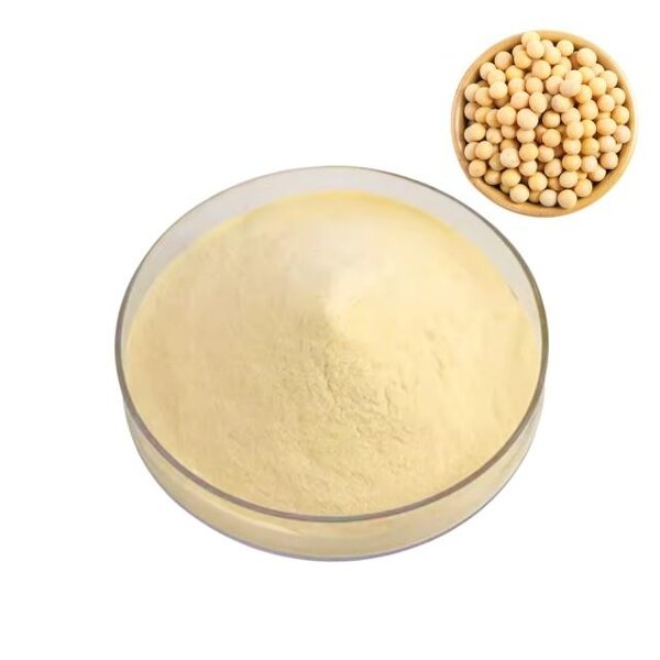 Soy Protein Isolate Supplier - BULK Supply NON-GMO Price