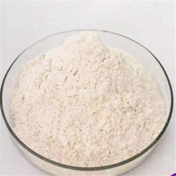 Agar-agar Powder Supplier - Seaweed Extract Bulk Price