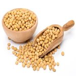 Soy Lecithin Supplier - E322 Caramel Color CAS