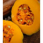 Pumpkin Oil Flavor Supplier - Natural Extraction Oil Soluble for Dessert Bread