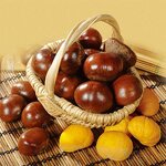 Chinese Chestnut Oil Flavor Supplier - Natural Extraction Concentrated for Cakes Cookies