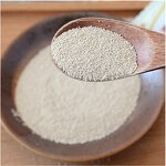Dry Yeast Powder Manufacturer - High Activity for Chinese Style Pastry