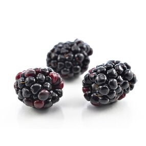 Blackberry Essence Manufacturer - Food Grade Juicy Berry Flavor for Beverage