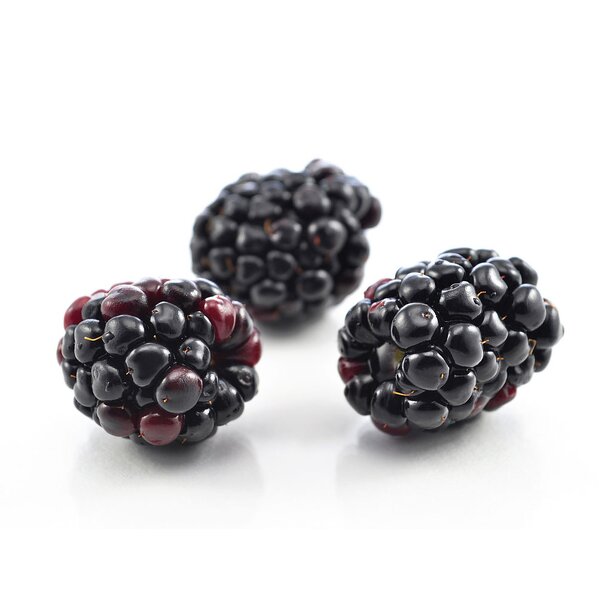 Blackberry Essence Manufacturer - Food Grade Juicy Berry Flavor for Beverage