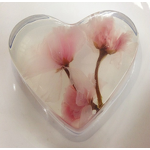 Jelly Improver Manufacturer - Instant Soluble Powder European Technology Compound