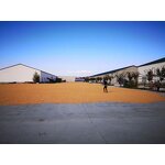 Coconut Butter Oil Supplier - Cheap Price Cooking Oil for Popcorn Making USA Canada