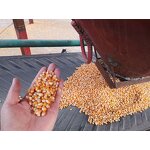 Popcorn Oil Manufacturer - Best Oil for Popcorn Wholesale Cheap Price Cooking Oil