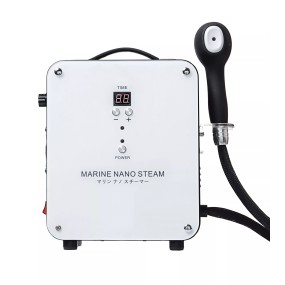 Professional Salon Handheld Micro Mist Nano Hair Steamer Portable Machine