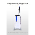 Multifunctional Water Nano Spray Device Hairdressing Hydrating Spray Hair Micro Nano Blue Light Disinfection Nano Steam Electric