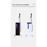 Portable Facial and Head Nano Mist Hair Steamer Best Hair Steamer