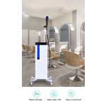 Portable Facial and Head Nano Mist Hair Steamer Best Hair Steamer