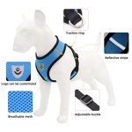 Dog Harness Manufacturer - OEM Custom Pattern Logo Pet Harness