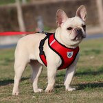 Dog Harness Manufacturer - OEM Custom Pattern Logo Pet Harness