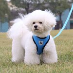 Pet Harness Manufacturer - High Quality Breathable Reflective Harness