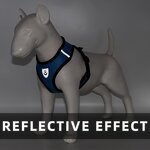 Dog Harness Manufacturer - OEM Custom Pattern Logo Pet Harness