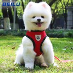 Pet Harness Manufacturer - Adjustable Comfortable Cat Dog Chest Harness