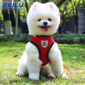 Pet Harness Manufacturer - Adjustable Comfortable Cat Dog Chest Harness