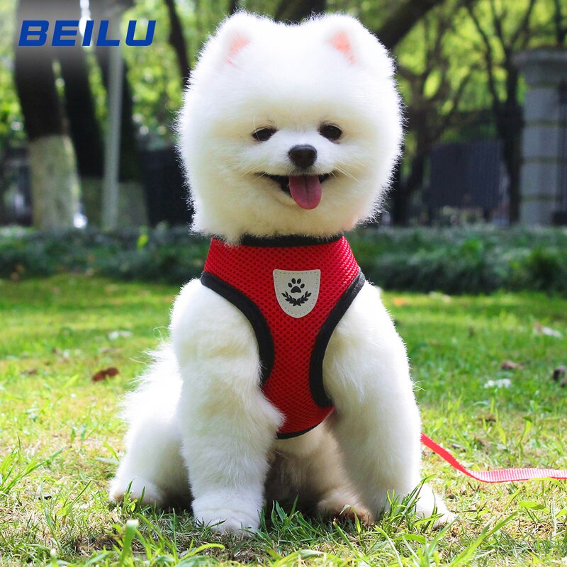 Pet Harness Manufacturer - Adjustable Comfortable Cat Dog Chest Harness