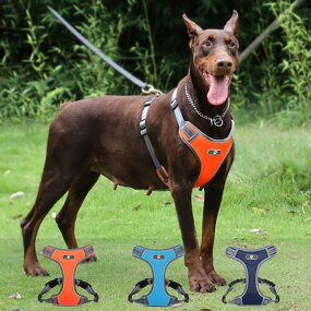 Dog Harness Manufacturer - Wholesale Eco-Friendly Breathable Chest Harness