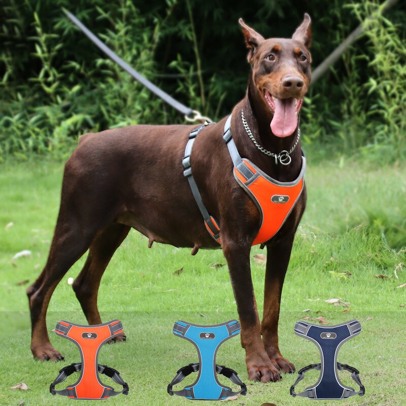 Dog Harness Manufacturer - Wholesale Eco-Friendly Breathable Chest Harness