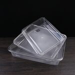 Service Tray Manufacturer - Plastic Supermarket Food Display Plate