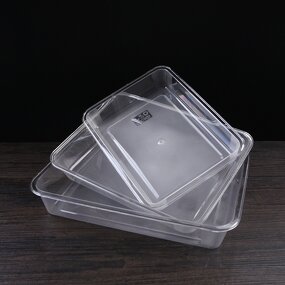 Service Tray Manufacturer - Plastic Supermarket Food Display Plate