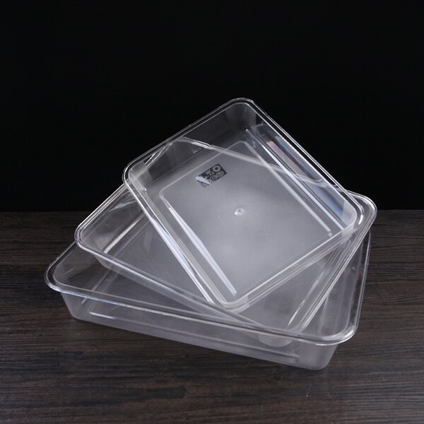 Service Tray Manufacturer - Plastic Supermarket Food Display Plate