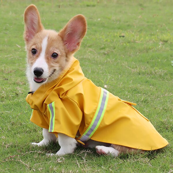 Pet Raincoat Manufacturer - Wholesale Custom Reflective Waterproof Hoodie