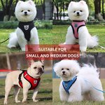Dog Harness Manufacturer - OEM Custom Pattern Logo Pet Harness