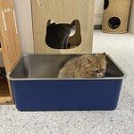 Cat Litter Box Manufacturer - Large Stainless Steel Easy Clean Litter Box
