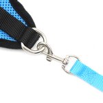 Pet Harness Manufacturer - Adjustable Comfortable Cat Dog Chest Harness