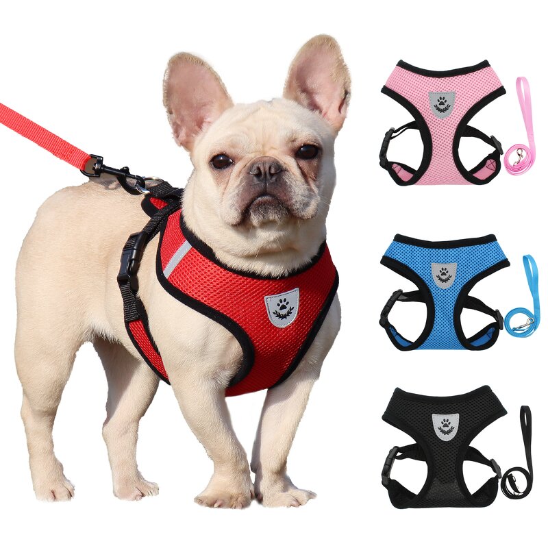 Dog Harness Manufacturer - OEM Custom Pattern Logo Pet Harness