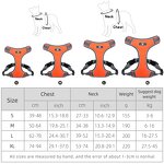 Dog Harness Manufacturer - Wholesale Eco-Friendly Breathable Chest Harness