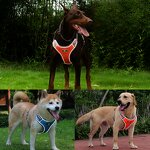 Dog Harness Manufacturer - Wholesale Eco-Friendly Breathable Chest Harness