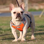 Dog Harness Manufacturer - Wholesale Eco-Friendly Breathable Chest Harness
