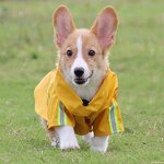 Pet Raincoat Manufacturer - Wholesale Custom Reflective Waterproof Hoodie