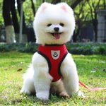 Pet Harness Manufacturer - High Quality Breathable Reflective Harness