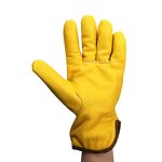 HPPE Gloves Manufacturer - Level 5 Anti-Impact Cut Resistant Safety Gloves