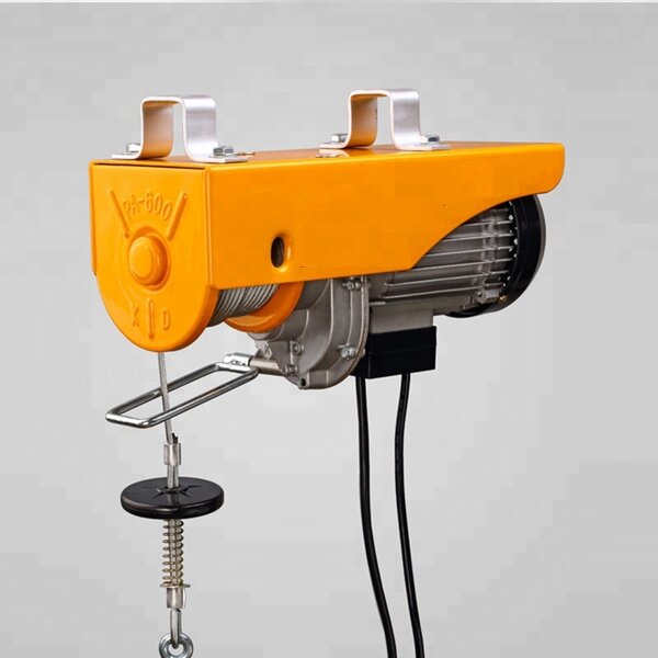 Mini Electric Hoist Manufacturer - 110v 220v 100kg Wire Rope Hoist