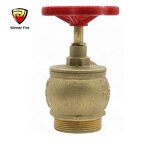 Landing Valve Manufacturer - 2" BSP X BSP Angle Hydrant Valve