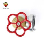 Fire Hose Angle Valve Manufacturer - 2 Inch Brass Oblique with Storz