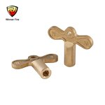 Fire Hose Reel Valve Manufacturer - DN25 Brass 1" Lock Shield Valve