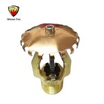 Fire Sprinkler Head Manufacturer - Storage DN25 1 Inch Large Scale ESFR