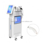 Trending Products New Arrivals Skin Facial Machines 11 in 1 Dermabrasion Peel Facial Machine